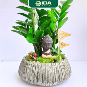Alternative view of Tiểu cảnh kim tiền quà tặng may mắn